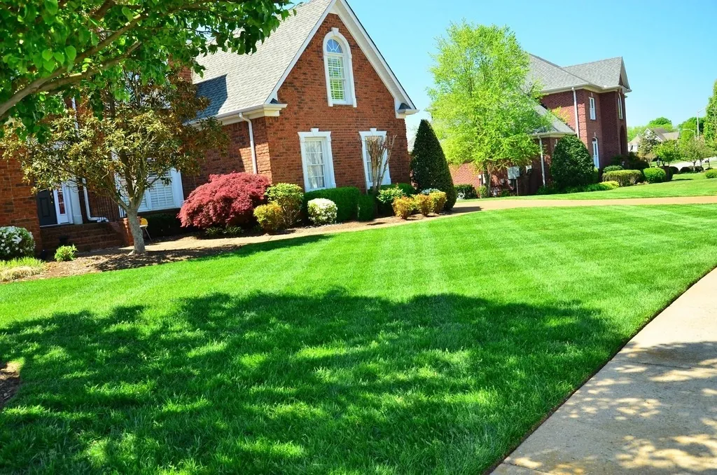 After: a freshly mowed, striped lawn in front of a brick house