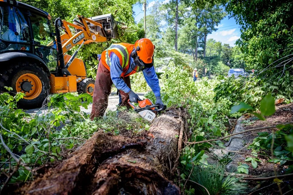 A tree crew member in an orange helmet and safety vest cutting up a fallen tree with a chainsaw